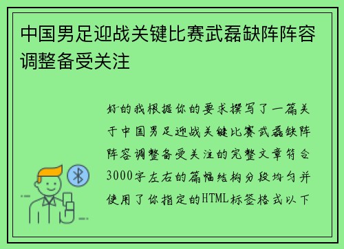中国男足迎战关键比赛武磊缺阵阵容调整备受关注